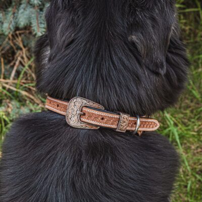 ranch hand western dog collars western collars for dogs leather dog collars cowboy dog shit (10)