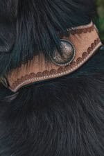 ranch hand western dog collars western collars for dogs leather dog collars cowboy dog shit (2)