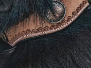 ranch hand western dog collars western collars for dogs leather dog collars cowboy dog shit (2)