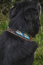 ranch hand western dog collars western collars for dogs leather dog collars cowboy dog shit (4)
