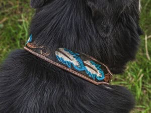 ranch hand western dog collars western collars for dogs leather dog collars cowboy dog shit (4)