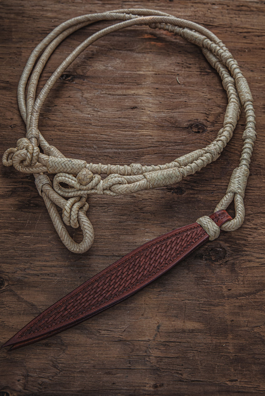 Web Res Leather Dog Collars Leopard headstalls romel reins ranch hand western (44)