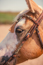 Western Headstall For Sale handmade leather headstall weaver leather bridle (11)