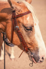 Western Headstall For Sale handmade leather headstall weaver leather bridle (22)