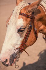 Western Headstall For Sale handmade leather headstall weaver leather bridle (23)