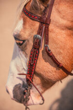 Western Headstall For Sale handmade leather headstall weaver leather bridle (24)
