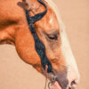 Black Breeze - One Ear Leather Headstall - view 3