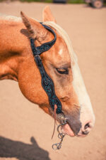 Western Headstall For Sale handmade leather headstall weaver leather bridle (4)