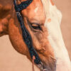 Black Breeze - One Ear Leather Headstall - view 2