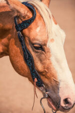 Western Headstall For Sale handmade leather headstall weaver leather bridle (6)