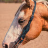 Black Breeze - One Ear Leather Headstall - view 4