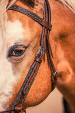 Turquoise buckstitch browband headstall handmade Argentina leather
