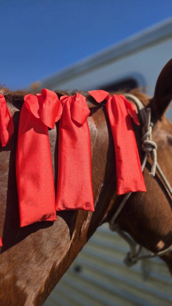 horse mane care horse grooming Mane Bags Mane Socks Protect your horses mane (25)