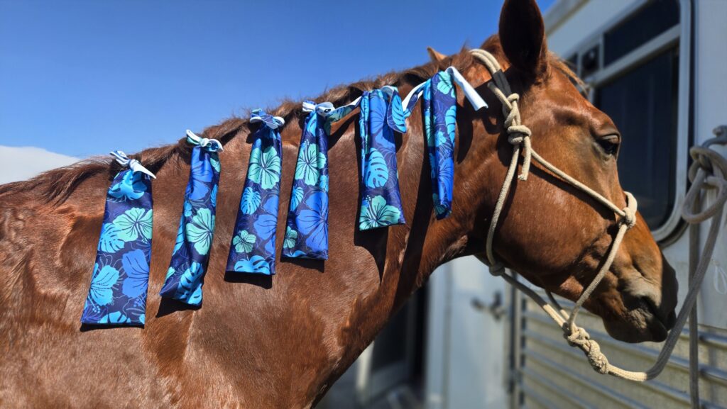 horse mane care horse grooming Mane Bags Mane Socks Protect your horses mane (28)