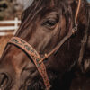 leather tie down ranch hand noseband team roping horse tack barrel racing tiedown (2)