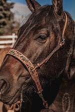 leather tie down ranch hand noseband team roping horse tack barrel racing tiedown (2)