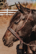 leather tie down ranch hand noseband team roping horse tack barrel racing tiedown (3)