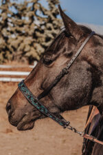 leather tie down ranch hand noseband team roping horse tack barrel racing tiedown (7)