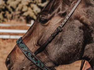 leather tie down ranch hand noseband team roping horse tack barrel racing tiedown (7)