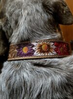 western-dog-collar-clearance-ranch-hand, leather-dog-collar-sale, hair-on-cowhide-dog-collar-clearance.