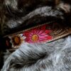 Prairie Bloom Dog Collar - Leather Dog Collar - view 4