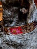 western-dog-collar-clearance-ranch-hand, leather-dog-collar-sale, hair-on-cowhide-dog-collar-clearance.