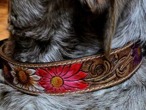western-dog-collar-clearance-ranch-hand, leather-dog-collar-sale, hair-on-cowhide-dog-collar-clearance.