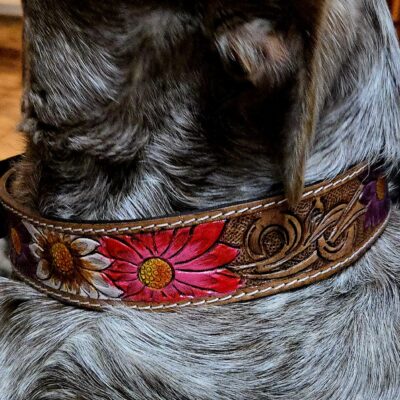 western-dog-collar-clearance-ranch-hand, leather-dog-collar-sale, hair-on-cowhide-dog-collar-clearance.