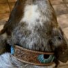 Prairie Blue Leather Dog Collar - Hand-Painted Western Style - view 6