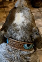 western-dog-collar-clearance-ranch-hand, leather-dog-collar-sale, hair-on-cowhide-dog-collar-clearance.