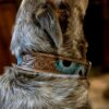 Prairie Blue Leather Dog Collar - Hand-Painted Western Style - view 2