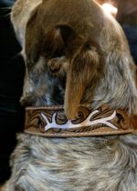 premium western dog collar leather dog collars cowhide dog collars premium leather dog collars ranch hand (21)