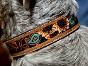 western-dog-collar-clearance-ranch-hand, leather-dog-collar-sale, hair-on-cowhide-dog-collar-clearance.