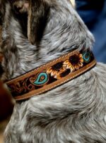 western-dog-collar-clearance-ranch-hand, leather-dog-collar-sale, hair-on-cowhide-dog-collar-clearance.