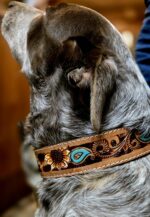 western-dog-collar-clearance-ranch-hand, leather-dog-collar-sale, hair-on-cowhide-dog-collar-clearance.