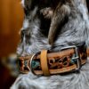 Prairie Sunflower Leather Dog Collar - Hand-Painted Western - view 3