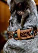 western-dog-collar-clearance-ranch-hand, leather-dog-collar-sale, hair-on-cowhide-dog-collar-clearance.