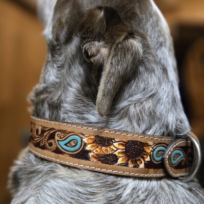 western-dog-collar-clearance-ranch-hand, leather-dog-collar-sale, hair-on-cowhide-dog-collar-clearance.