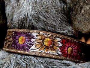 western-dog-collar-clearance-ranch-hand, leather-dog-collar-sale, hair-on-cowhide-dog-collar-clearance.