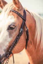ranch hand breast collar western headstall weaver leather bridle NRS headstall (11)