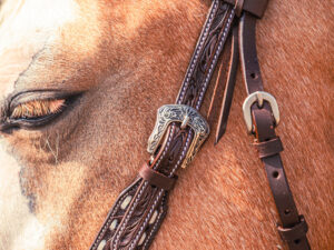 ranch hand breast collar western headstall weaver leather bridle NRS headstall (12)