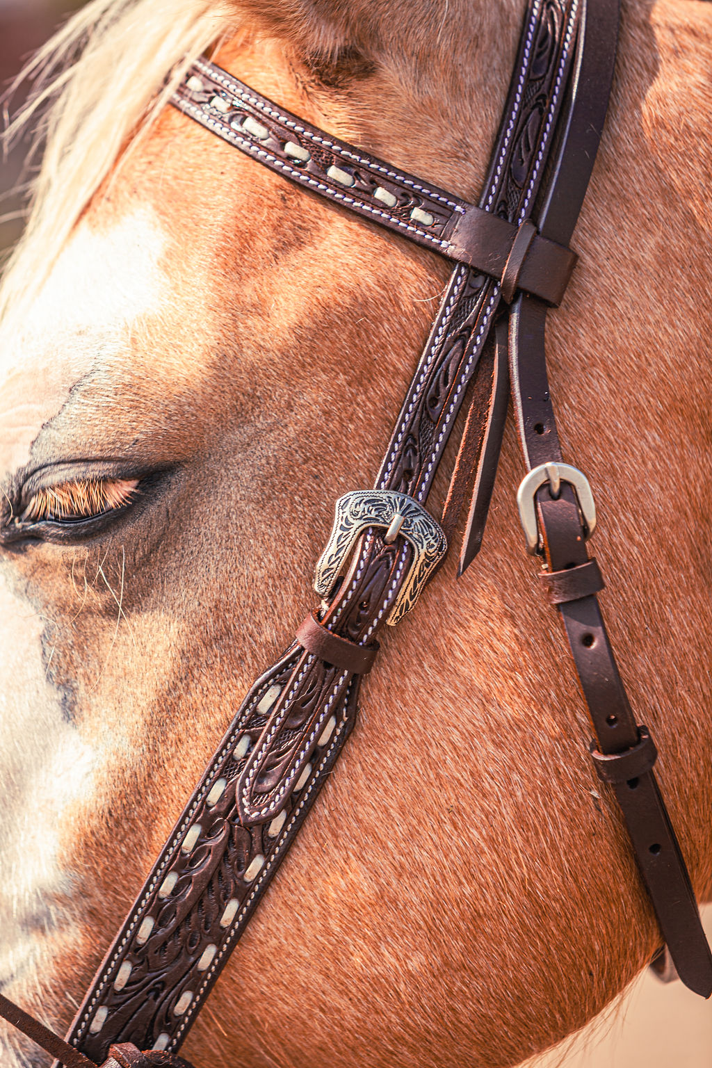 ranch hand breast collar western headstall weaver leather bridle NRS headstall (12)