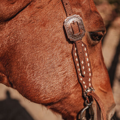 ranch hand breast collar western headstall weaver leather bridle NRS headstall (14)