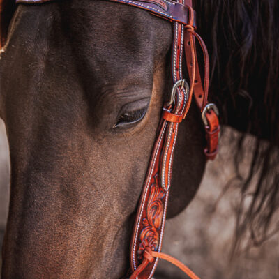ranch hand breast collar western headstall weaver leather bridle NRS headstall (15)