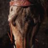 Antique Leather Wide Browband Headstall - Bridle with Tooling - view 5