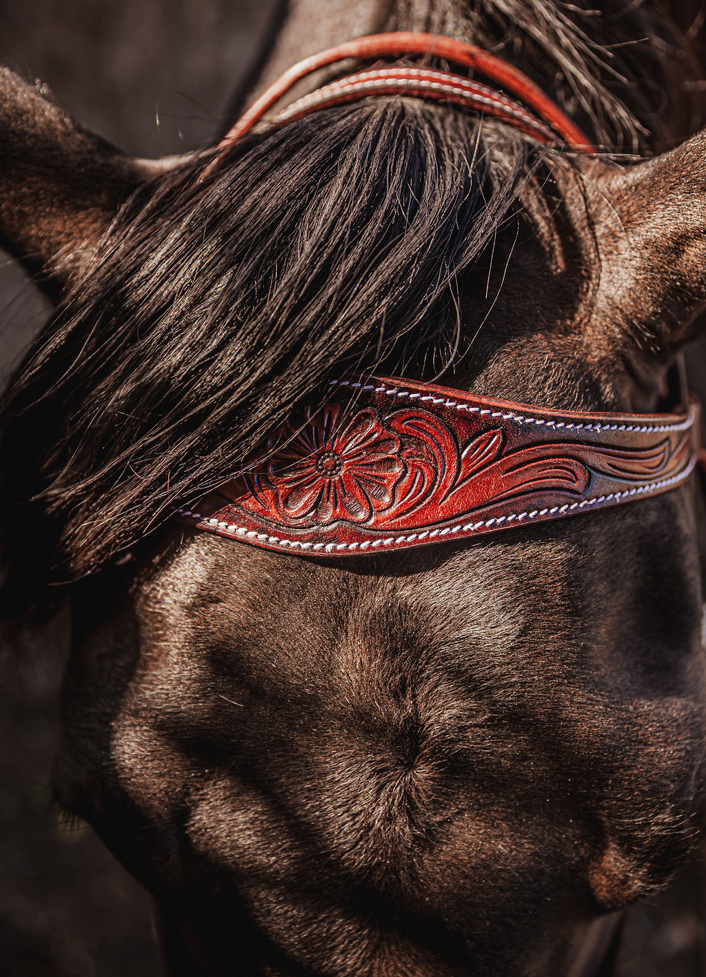 ranch hand breast collar western headstall weaver leather bridle NRS headstall (17)