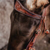 Antique Leather Wide Browband Headstall - Bridle with Tooling - view 3