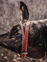 ranch hand breast collar western headstall weaver leather bridle NRS headstall (26)