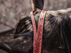 ranch hand breast collar western headstall weaver leather bridle NRS headstall (26)