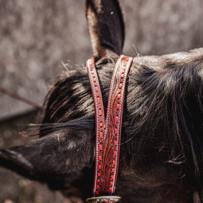ranch hand breast collar western headstall weaver leather bridle NRS headstall (26)